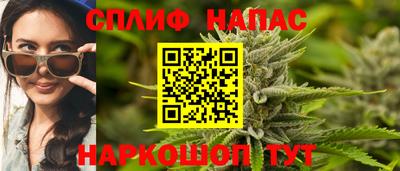 стафф Кинель