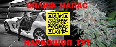 прущий лед Кингисепп