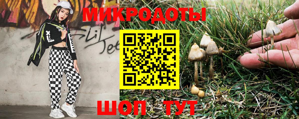Галлюциногенные грибы мицелий  Галлюциногенные грибы прущие грибы  Иркутск  Вход с VPN 